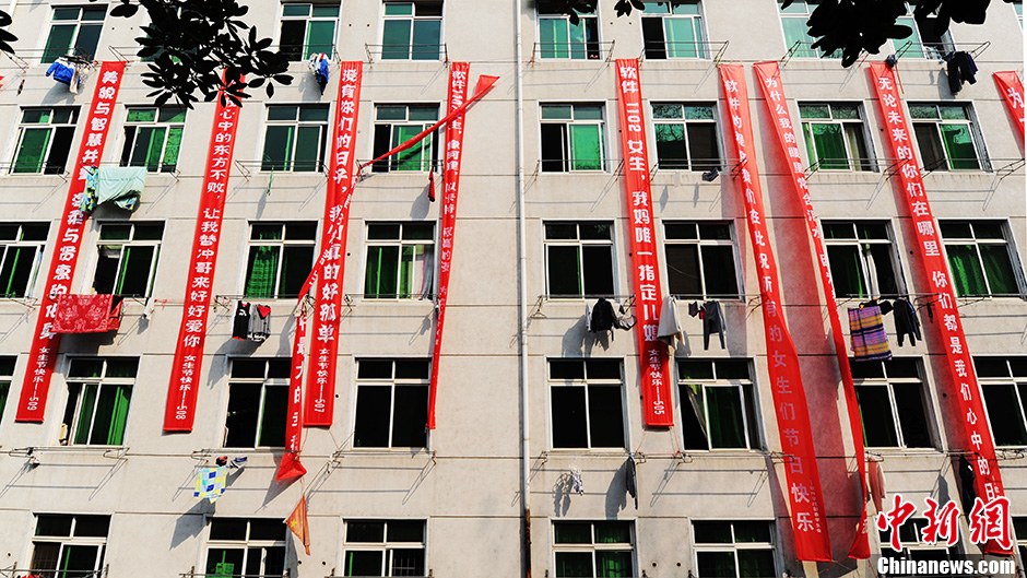 圖為男生宿舍掛起的二十多條橫幅。