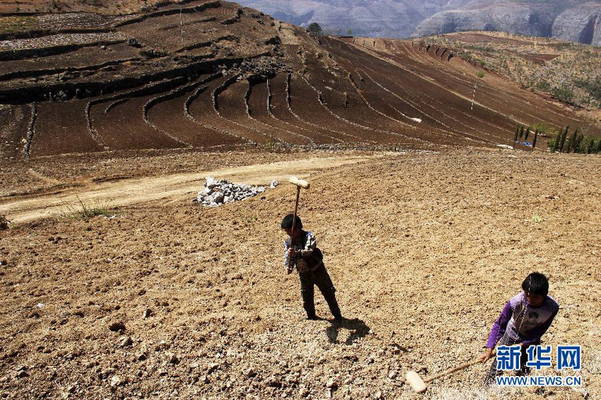 3月16日，在貴州省畢節(jié)市威寧縣斗古鄉(xiāng)中關(guān)村，兩個(gè)孩子幫助家人在干旱的土地上勞動(dòng)。