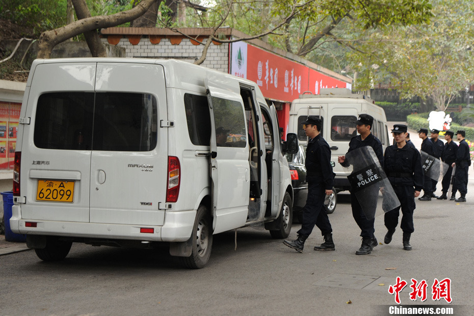 重慶動物園兩頭獅子“越獄” 已被麻醉移至籠舍 重慶動物園兩頭獅子“越獄” 已被麻醉移至籠舍