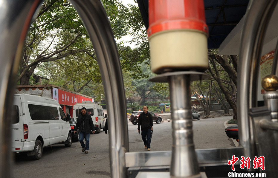 重慶動物園兩頭獅子“越獄” 已被麻醉移至籠舍 重慶動物園兩頭獅子“越獄” 已被麻醉移至籠舍