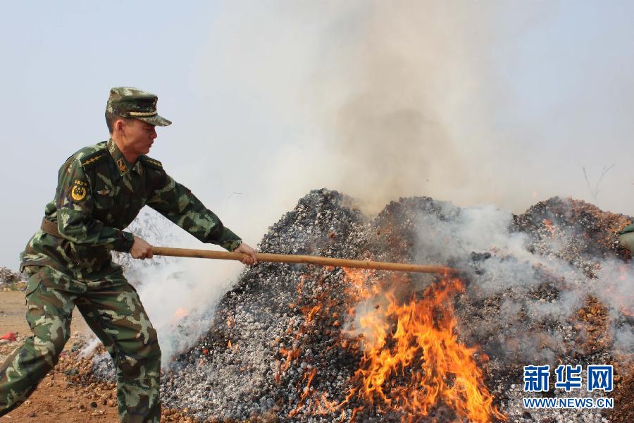 (法制)(2)云南盈江公開銷毀3.6噸罌粟殼 (法制)(2)云南盈江公開銷毀3.6噸罌粟殼