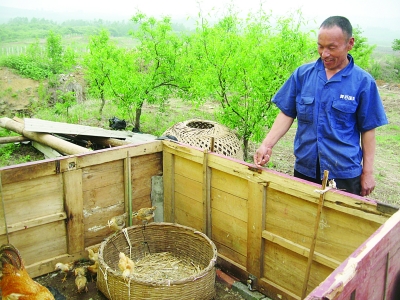 弟弟趙文富向記者介紹他們養(yǎng)雞的地方。