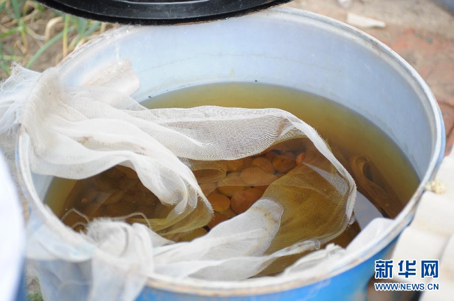 地下水成“綠茶”　污染二十多年該誰治？