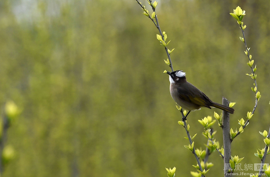 生活在城市 生活在城市