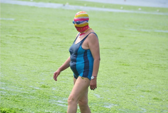 2013年7月3日，山東青島青島高溫來襲，“青島大媽”不懼滸苔，戴著“強盜面具”出現(xiàn)在海水浴場消暑降