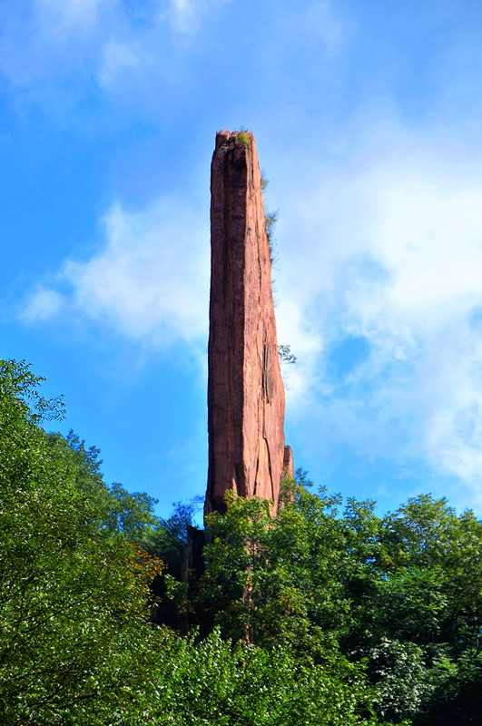 龍?zhí)洞髰{谷 龍?zhí)洞髰{谷