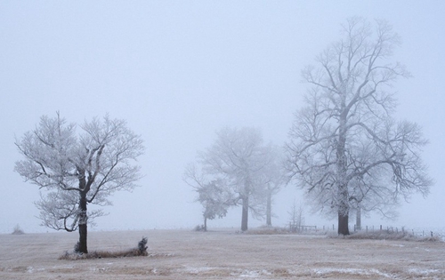 外出旅游時(shí)天氣變化的10個(gè)征兆 外出旅游時(shí)天氣變化的10個(gè)征兆