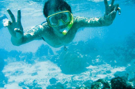 春節(jié)出游做足功課:冰雪游注意溫差 海島游慎食海鮮 春節(jié)出游做足功課:冰雪游注意溫差 海島游慎食海鮮