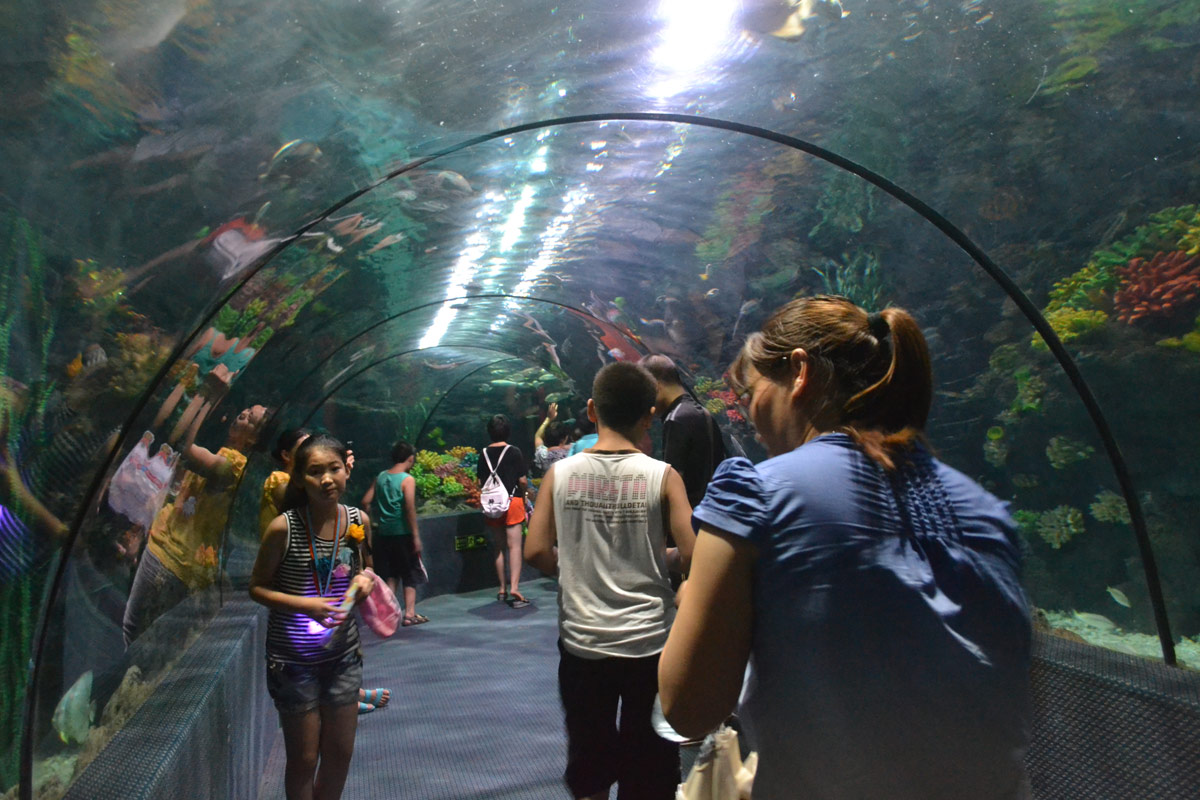 春節(jié)去哪兒？出游地圖告訴您！