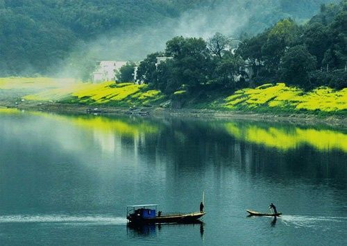 盤(pán)點(diǎn)全國(guó)13處絕美的油菜花觀賞地