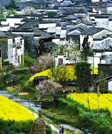 如何拍攝油菜花？達(dá)人教你7個(gè)拍攝技巧