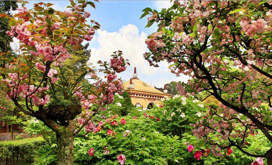 麻辣冬日二三五，芳菲三月看峨眉