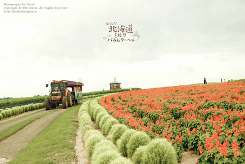 北海道.jpg 北海道.jpg