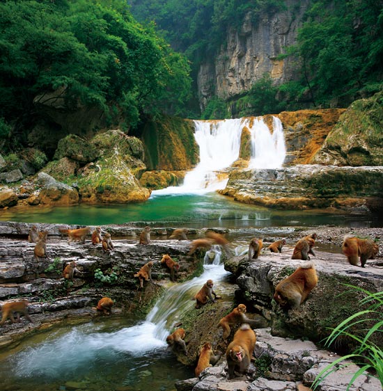 小長(zhǎng)假游客扎堆蟒河、擠爆猴山