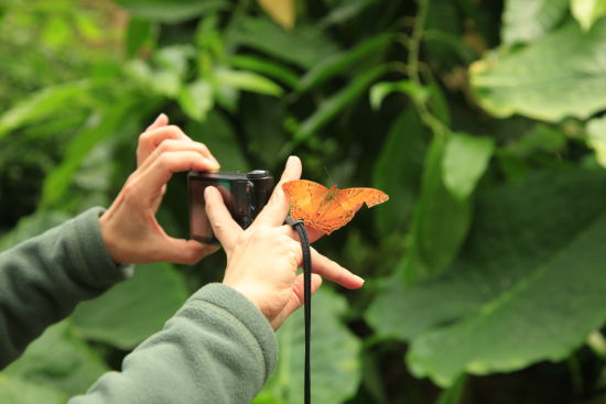 暖春四月來螢火蟲水洞 與螢火蟲來一場美麗的邂逅 暖春四月來螢火蟲水洞 與螢火蟲來一場美麗的邂逅