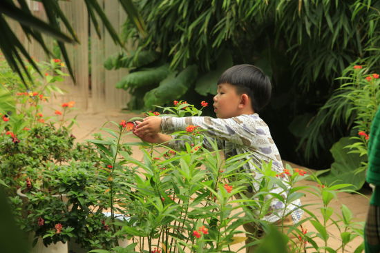 暖春四月來螢火蟲水洞 與螢火蟲來一場美麗的邂逅 暖春四月來螢火蟲水洞 與螢火蟲來一場美麗的邂逅