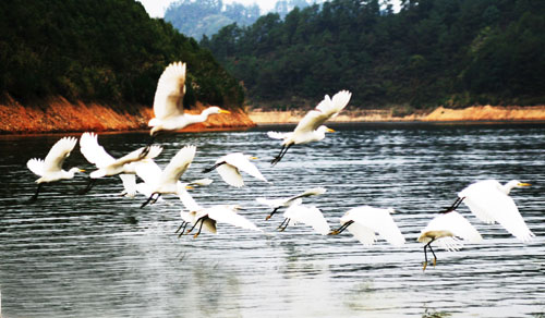 考完去哪兒？千島湖中、高考生門票大優(yōu)惠！