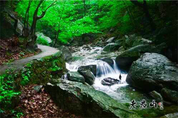 老君山第四屆中原車友狂歡節(jié) 激情房車派對(duì) 老君山第四屆中原車友狂歡節(jié) 激情房車派對(duì)