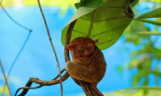適合在冬天旅游的十個(gè)絕美海島！