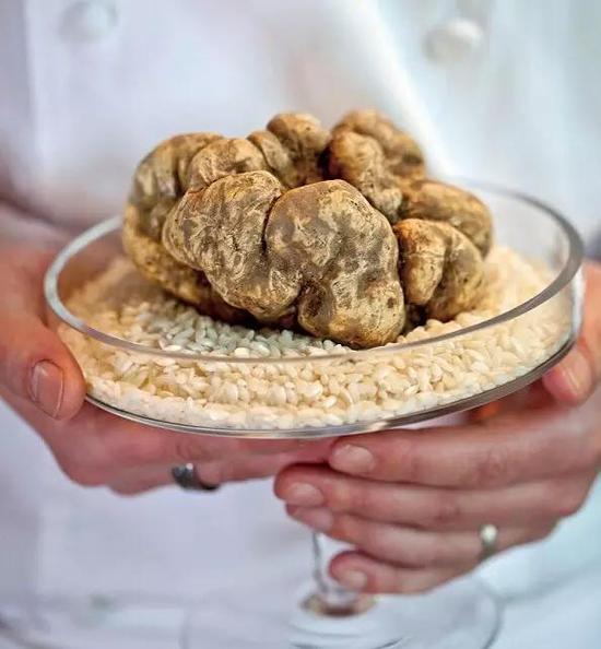 世界上最貴的食物 吃一口傾家蕩產 世界上最貴的食物 吃一口傾家蕩產