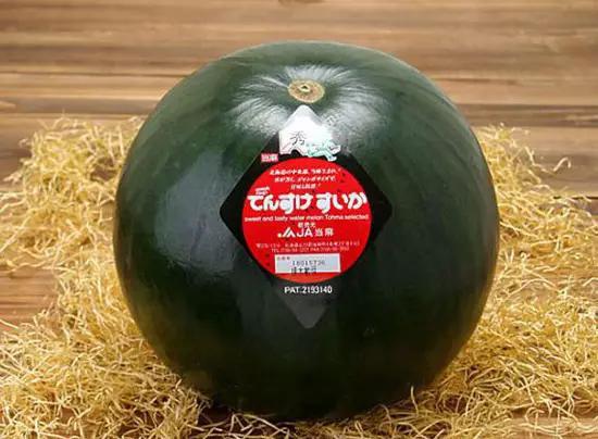 世界上最貴的食物 吃一口傾家蕩產 世界上最貴的食物 吃一口傾家蕩產