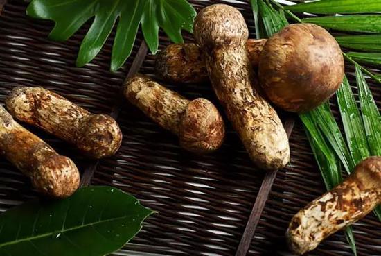 世界上最貴的食物 吃一口傾家蕩產 世界上最貴的食物 吃一口傾家蕩產