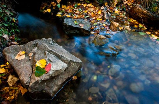 水也變得靈動(dòng)