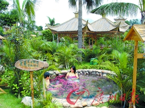 溫泉區(qū)樹木蔥蔥。