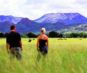 狩獵納米比亞 與動物共舞 狩獵納米比亞 與動物共舞