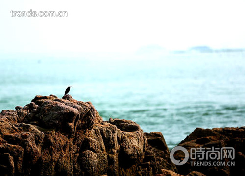 “騎”樂(lè)無(wú)窮 海岸線騎行不挑車型只挑心情 “騎”樂(lè)無(wú)窮 海岸線騎行不挑車型只挑心情