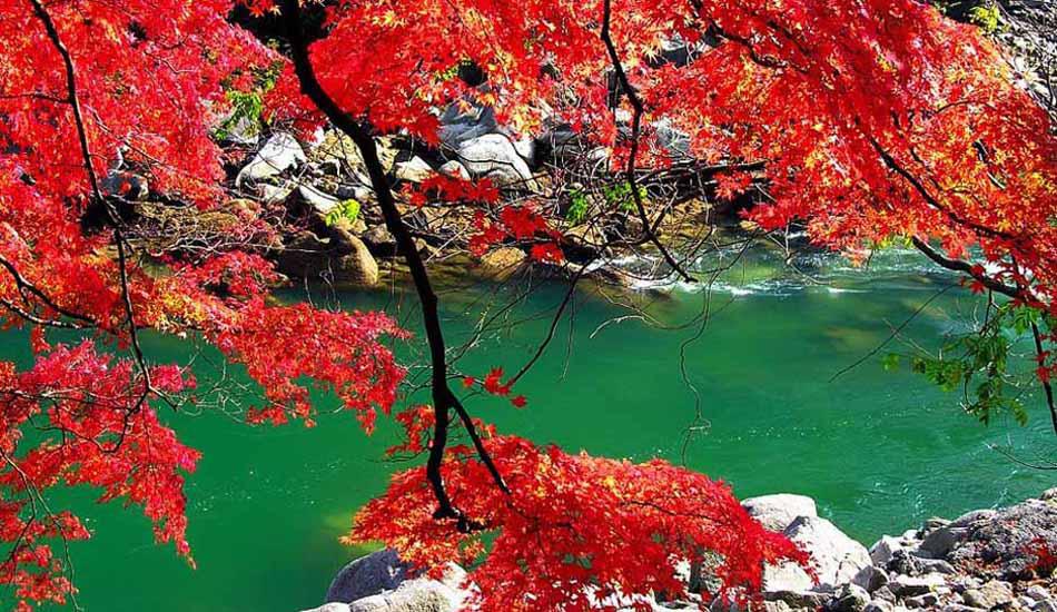 9月 與青天河景區(qū)來場約“惠”吧 9月 與青天河景區(qū)來場約“惠”吧