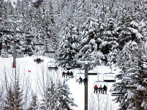 阿拉斯加，阿里耶斯卡