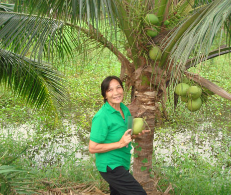 曼谷新式樹屋賓館 在未受侵染的凈土上入睡 曼谷新式樹屋賓館 在未受侵染的凈土上入睡