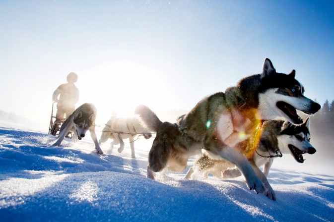 冬季貝加爾,適合享受冰上運(yùn)動,狗拉雪橇、雪上摩托車、雪地徒步等都是不錯的選擇 F5.6,1/115秒
