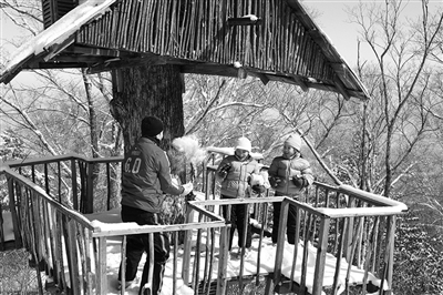 　　clubmed里有來自國外的滑雪教練教兒童滑雪?！? oldsrc=