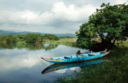 關(guān)渡賞鳥趣樂繽紛 關(guān)渡賞鳥趣樂繽紛