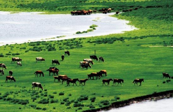 　　處處翠色欲流,馬兒自然入畫?！? complete=