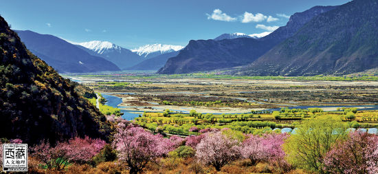 盛開(kāi)在峽谷中的桃花 盛開(kāi)在峽谷中的桃花