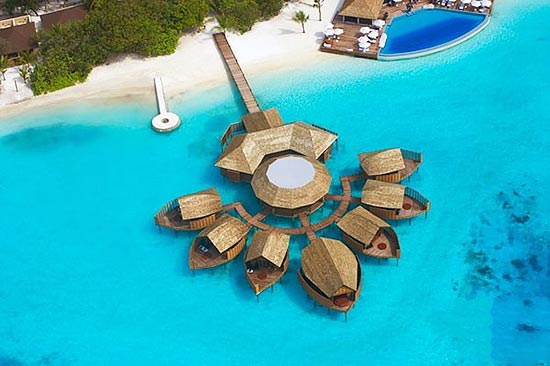 在馬爾代夫莉莉島探訪(fǎng)水里的世外桃源 在馬爾代夫莉莉島探訪(fǎng)水里的世外桃源
