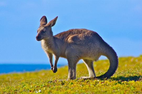 全家出國游去哪里？推薦十佳旅游勝地