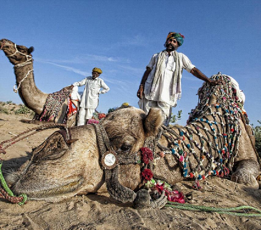全家出國游去哪里？推薦十佳旅游勝地