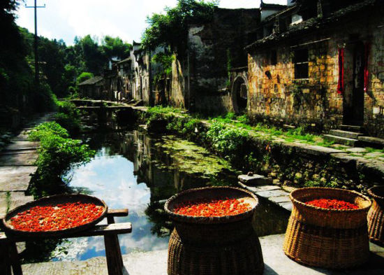 婺源初夏出游攻略:追尋綠與水的世界 婺源初夏出游攻略:追尋綠與水的世界