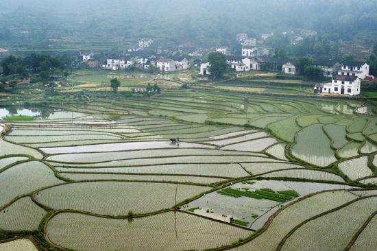 婺源初夏出游攻略:追尋綠與水的世界 婺源初夏出游攻略:追尋綠與水的世界