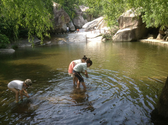 端午親水游 免費龍?zhí)稖? alt=