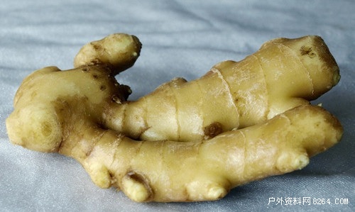 旅行中防止暈車的一些小技巧 旅行中防止暈車的一些小技巧