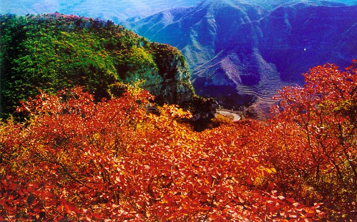坐豪華游船惠游青天河 紅葉最后觀賞期莫錯過 坐豪華游船惠游青天河 紅葉最后觀賞期莫錯過