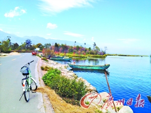 洱海的藍(lán)讓人沉醉。