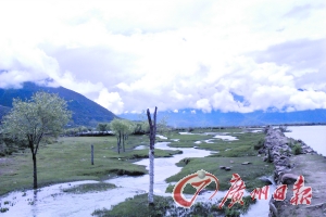 小路的一側是小溪,另一側是河流。