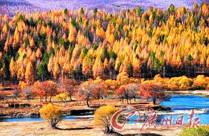 　　呼倫貝爾秋色。