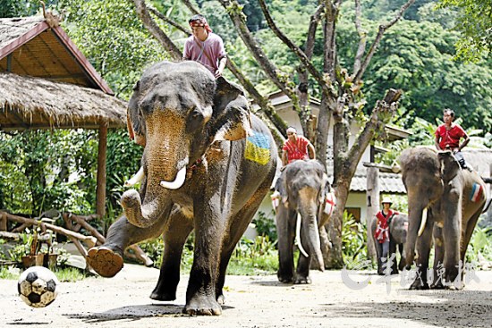電影勾起旅游癮 探尋那些迷人的電影外景地(圖) 電影勾起旅游癮 探尋那些迷人的電影外景地(圖)